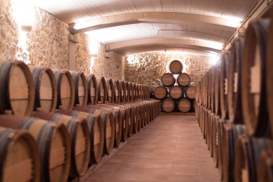 9mms3p64_2fSoRMIV_Κτήμα Οινότρια Γη Μουσείο οίνου 2 (1).JPG